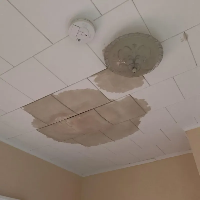 Ceiling Water Damage Repair in Tupelo, MS