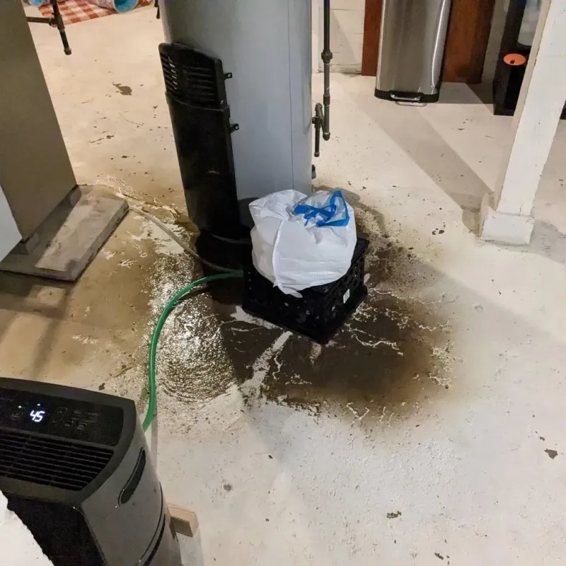 Sewage Backup Cleanup Service in Tupelo, MS